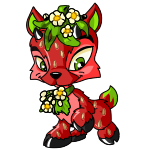 Strawberry Ixi