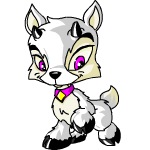 White Ixi
