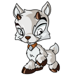 White Ixi