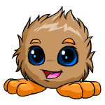 Brown Jubjub