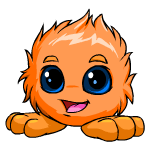 Orange Jubjub