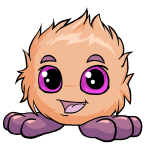 Orange Jubjub