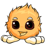 Dreamsicle Orange Jubjub