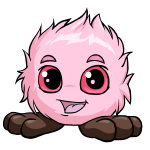 Pink Jubjub - (Sakura)