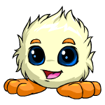 White Jubjub