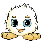 White Jubjub