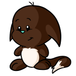 Polar Brown Kacheek