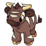 Brown Kau