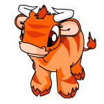 Orange Kau