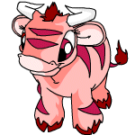 Pink Kau