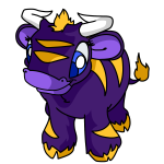 Purple Kau