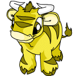 Yellow Kau
