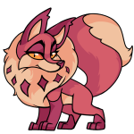 Pink Kitzen