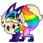 Rainbow Kitzen