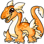 Dreamsicle Orange Kohmo