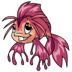 Pink Koi