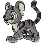 Ashen Kougra