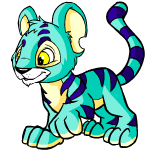 Blue Kougra