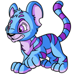 Dream Blue Kougra