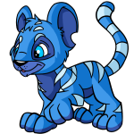 Sapphire Blue Kougra