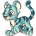 Seafoam Blue Kougra