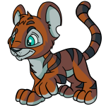 Oxide Brown Kougra