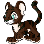 Brown Kougra - (Polar)