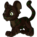 Soil Brown Kougra