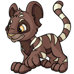 Brown Kougra