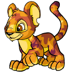 Camouflage Kougra