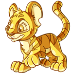 Gold Kougra