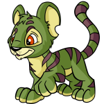 Olive Green Kougra