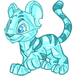 Ice Kougra