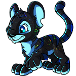 Iridescent Kougra