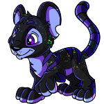 Iridescent Kougra