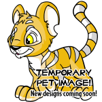 Island Kougra