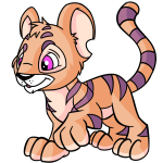 Dawn Orange Kougra