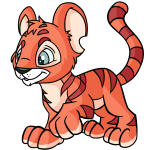 Salmon Orange Kougra