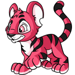 Pink Kougra - (Mall)