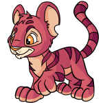 Pink Kougra