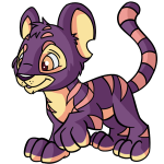 Dusk Purple Kougra