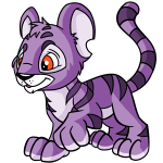 Pure Purple Purple Kougra