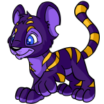 Regal Purple Kougra