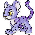 Wisteria Purple Kougra