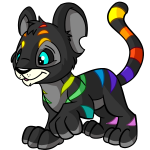 Darklight Rainbow Kougra