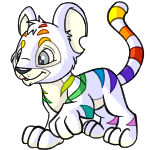 Prismatic Rainbow Kougra