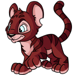 Rose Red Kougra