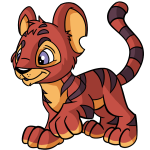 Sunset Red Kougra