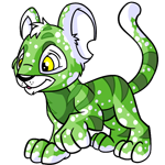 Speckled Kougra