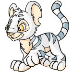 Arctic White Kougra